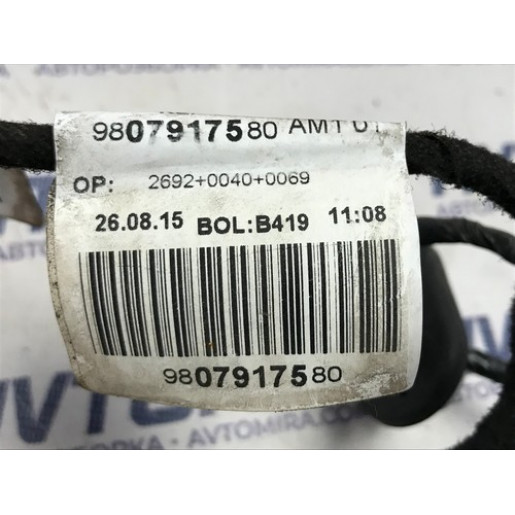 Проводка двері задньої Peugeot 308 2013-2021 9807917580